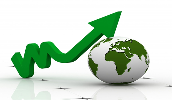 Website Design and Development